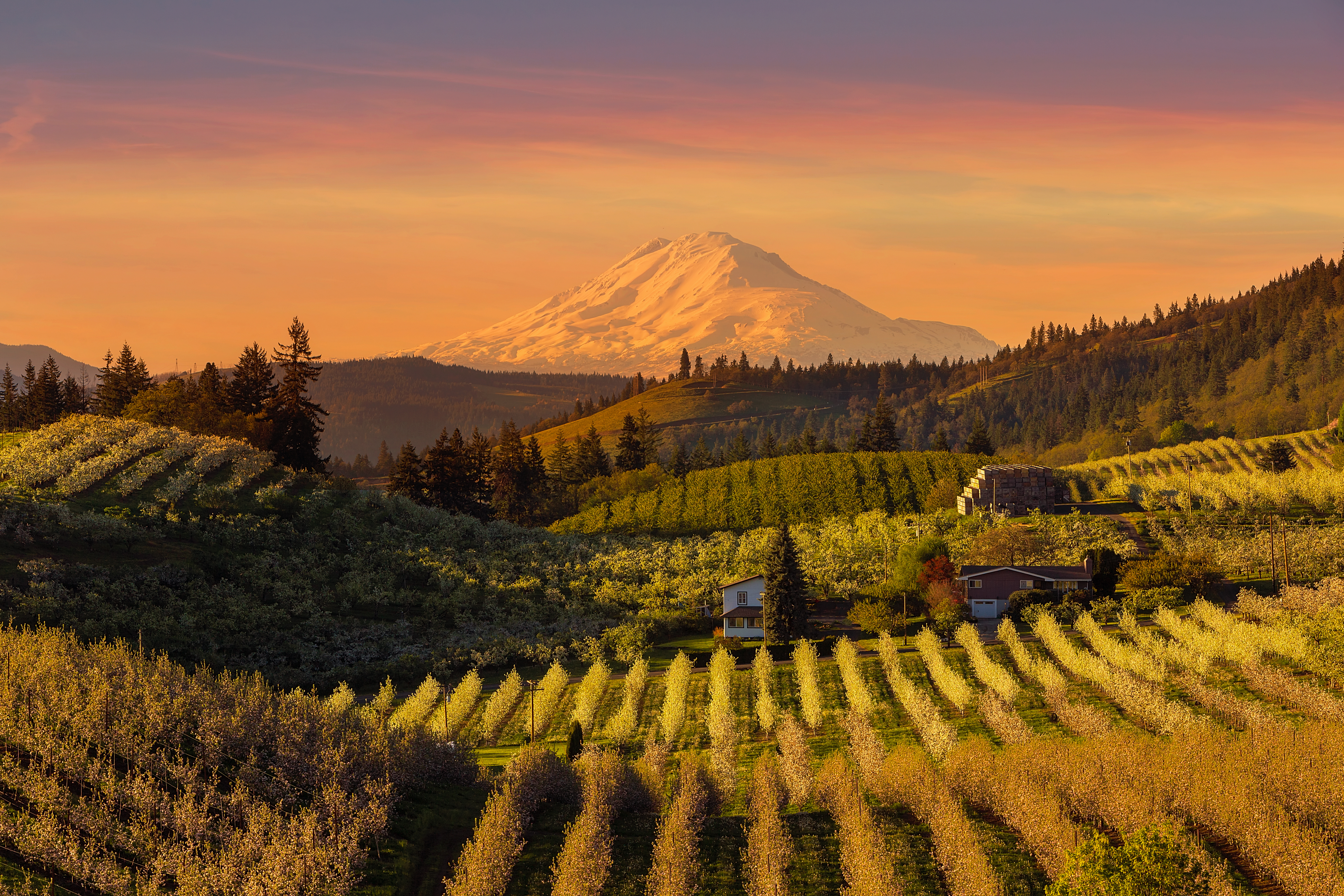 Eugene, Lane County